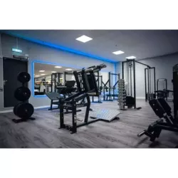 Gymleco hack Squat
