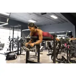 Gymleco Reverse Hyper