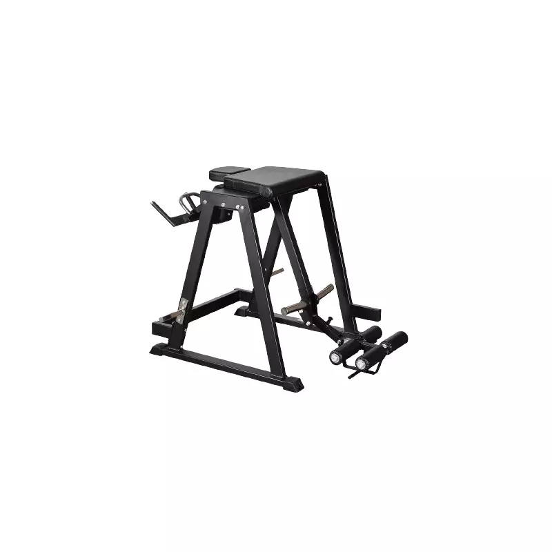 Gymleco Reverse Hyper Pendulum : Musculation Dorsaux