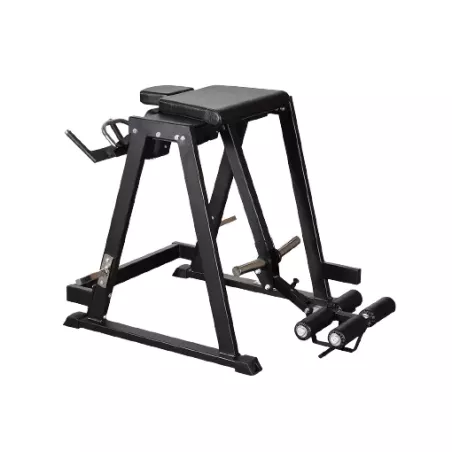 Gymleco Reverse Hyper Pendulum : Musculation Dorsaux
