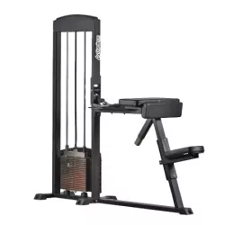 Biceps Curl / Triceps Extension 255 - Gymleco | Musculation Bras