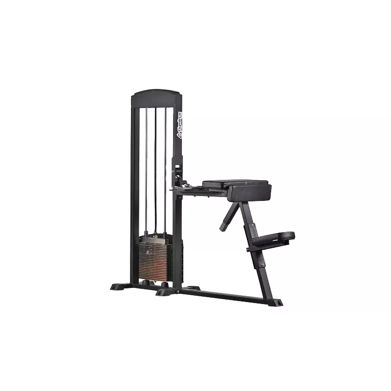 Biceps Curl / Triceps Extension 255 - Gymleco | Musculation Bras