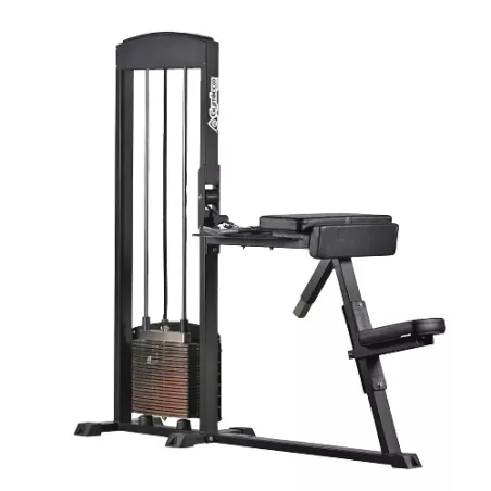 Biceps Curl / Triceps Extension 255 - Gymleco | Musculation Bras