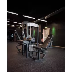 Seated Leg curl