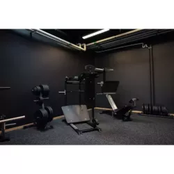 Gymleco Pendulum Squat