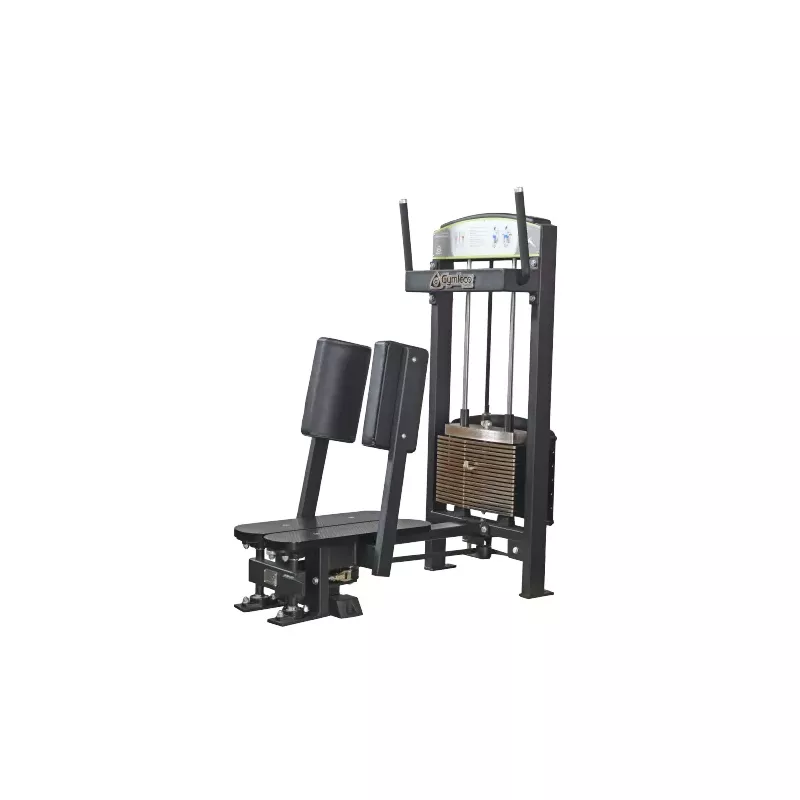 362 Gluteus Abducteur