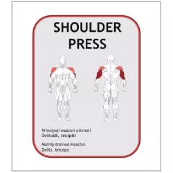 Shoulder Press BN003 - Power Fit | Musculation Épaules - Myo Impact