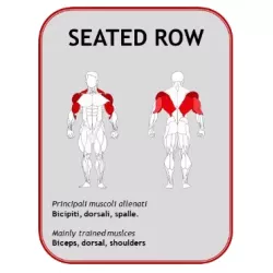 Seated Row Machine BN004 - Power Fit | Musculation Dos - Myo Impact