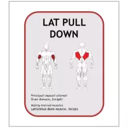 Lat Pulldown Assis BN012 - Power Fit | Musculation Dos - Myo Impact