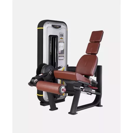 Leg Extension Assis BN014 - Power Fit | Musculation Jambes - Myo Impact