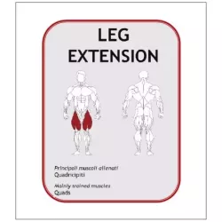 Leg Extension Assis BN014 - Power Fit | Musculation Jambes - Myo Impact