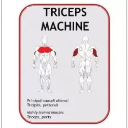 Triceps Machine GE213 - Power Fit | Musculation Bras - Myo Impact