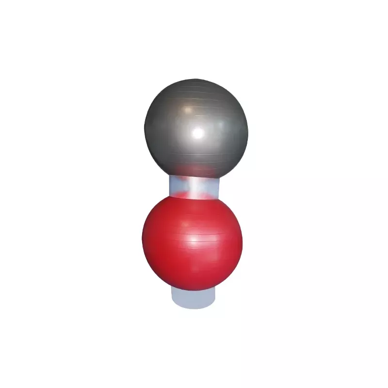 Anneau de Rangement pour Gym Ball