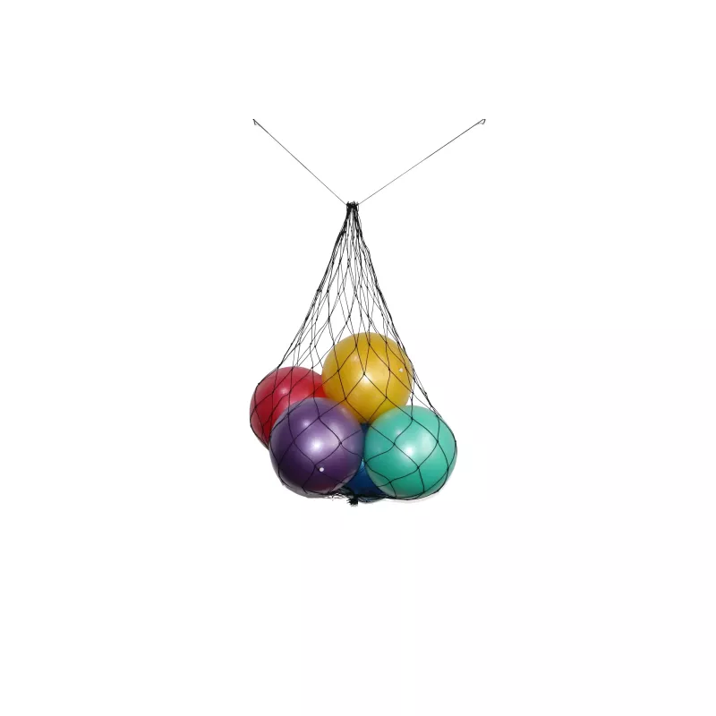 Filet pour ballons de gym | Organisation pratique