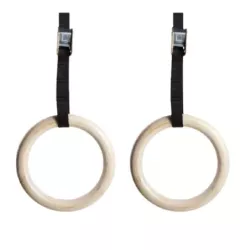 Gym Rings (anneaux de suspension)