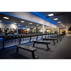 Gymleco flat bench