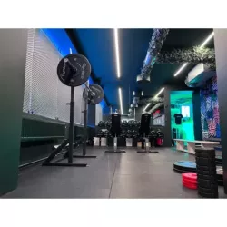 Bench Press & Squat Rack Adjustable 2