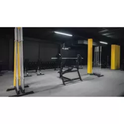 incline bench press gymleco