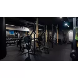Gymleco Smith Machine