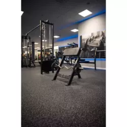 Gymleco Seated Scott Curl Bench