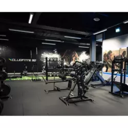 Gymleco leg curl
