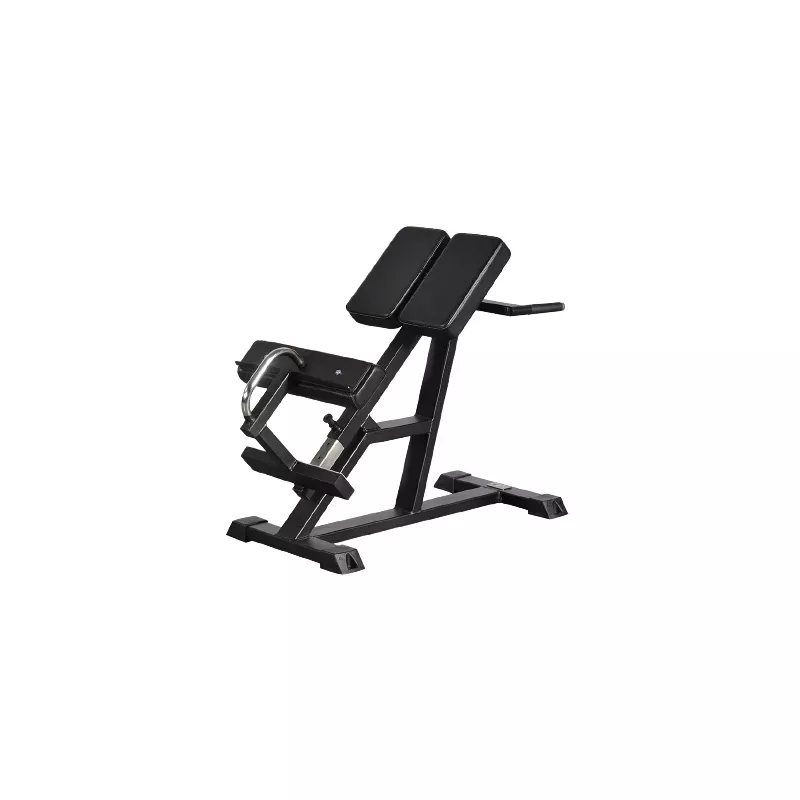 Back Raise 45° de Gymleco : machine pour le bas du dos