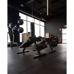 Gymleco Roman Chair