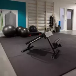 Gymleco Roman Chair