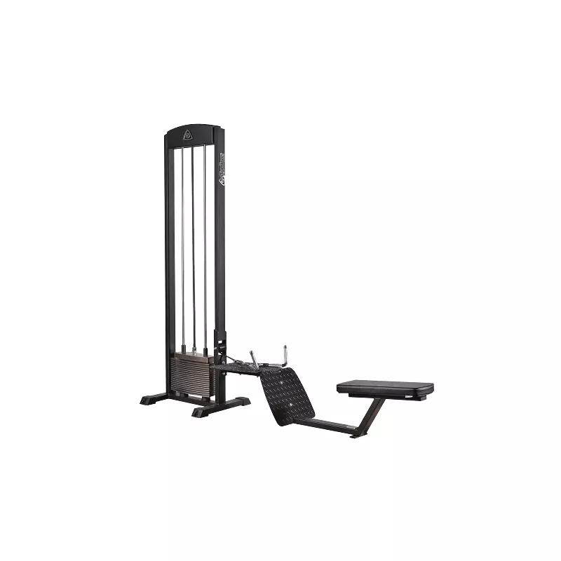 Seated Row 210 - Gymleco | Musculation Dos