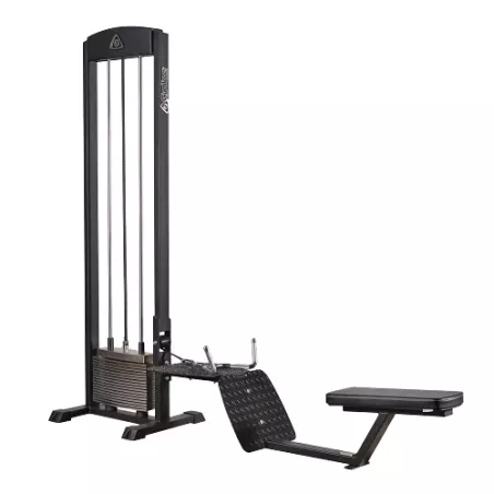 Seated Row 210 - Gymleco | Musculation Dos