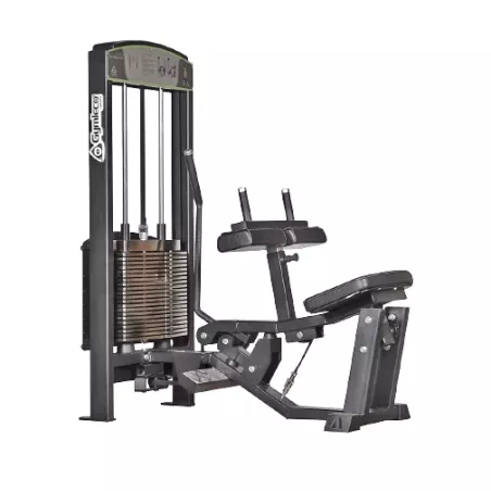 345 Gymleco Calf Press Seated