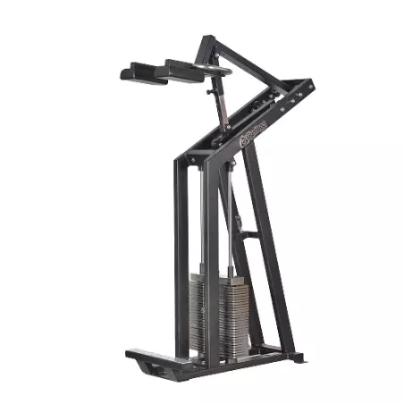 347 Gymleco Calf Raise Standing