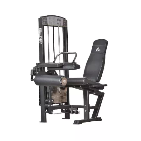 349 Gymleco Leg Extension & Leg Curl