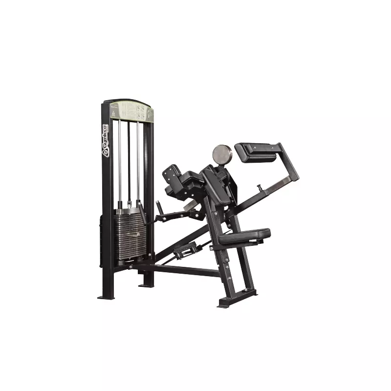 355 Gymleco Biceps/Triceps