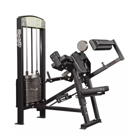 355 Gymleco Biceps/Triceps