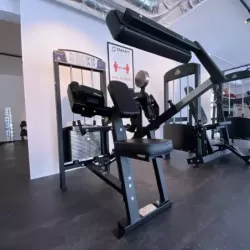 Biceps/triceps machine