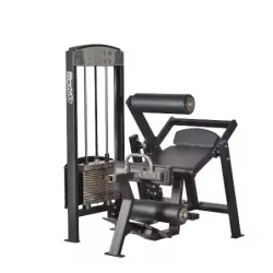 365 Gymleco Lower Back/Abdomen