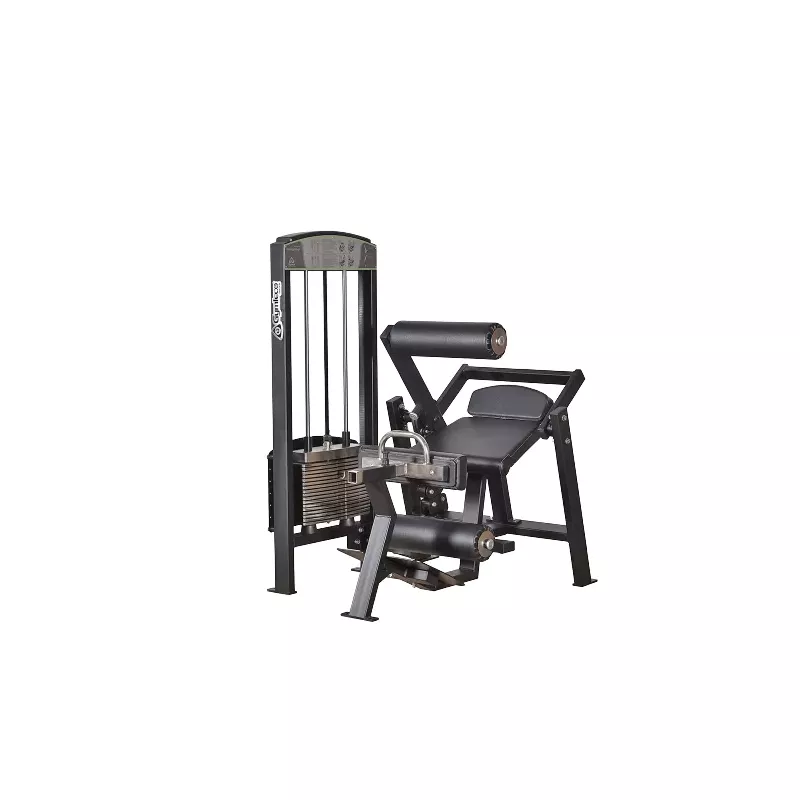 365 Gymleco Lower Back/Abdomen
