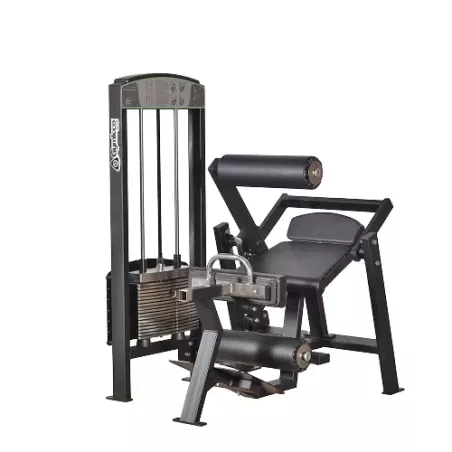 365 Gymleco Lower Back/Abdomen
