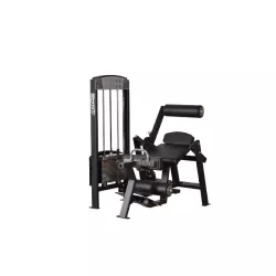 365 Gymleco Lower Back/Abdomen