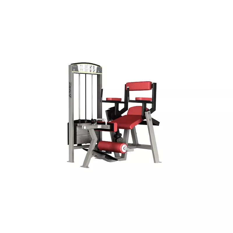 Lower Back / Abdomen 365B - Gymleco | Musculation Abdominaux