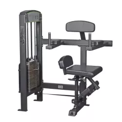 torso rotation abdominal Gymleco