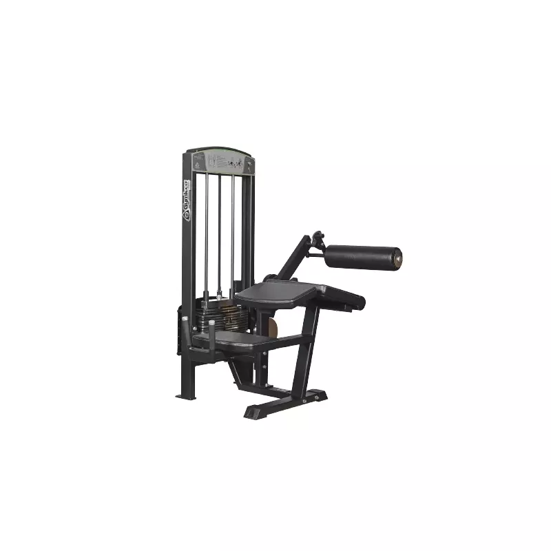 Lying Leg Curl Adjustable 342R - Gymleco | Musculation Jambes