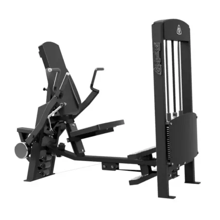Dips Machine & Shoulder Press
