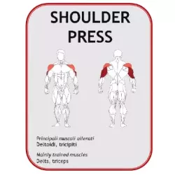 Shoulder Press Machine JL7602 - Power Fit | Musculation Épaules - Myo Impact