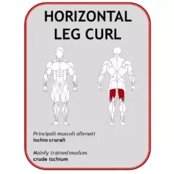 Lying Leg Curl BN013A - Power Fit | Musculation Jambes - Myo Impact