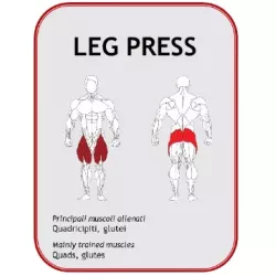 Leg Press BN015 - Power Fit | Musculation Jambes - Myo Impact
