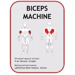 Biceps Machine JL7605 - Power Fit | Musculation Bras - Myo Impact