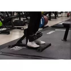gymleco Sissy Squat