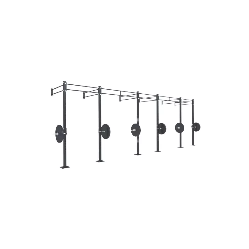 Cage Murale B10 | Cross Training et Musculation